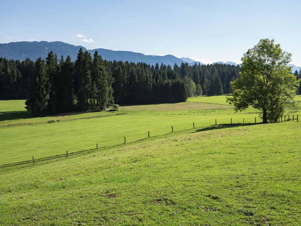 Peaceful Apartment in Reitersau Bavaria near Ski Area Steingaden Exterior foto